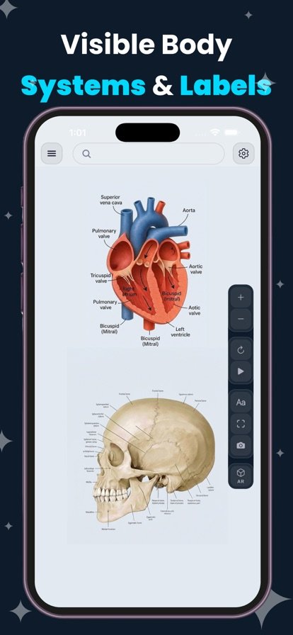 Complete Anatomy Learning 3D screenshot